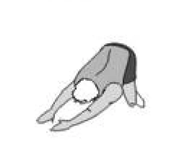 streching-schiena-esercizio