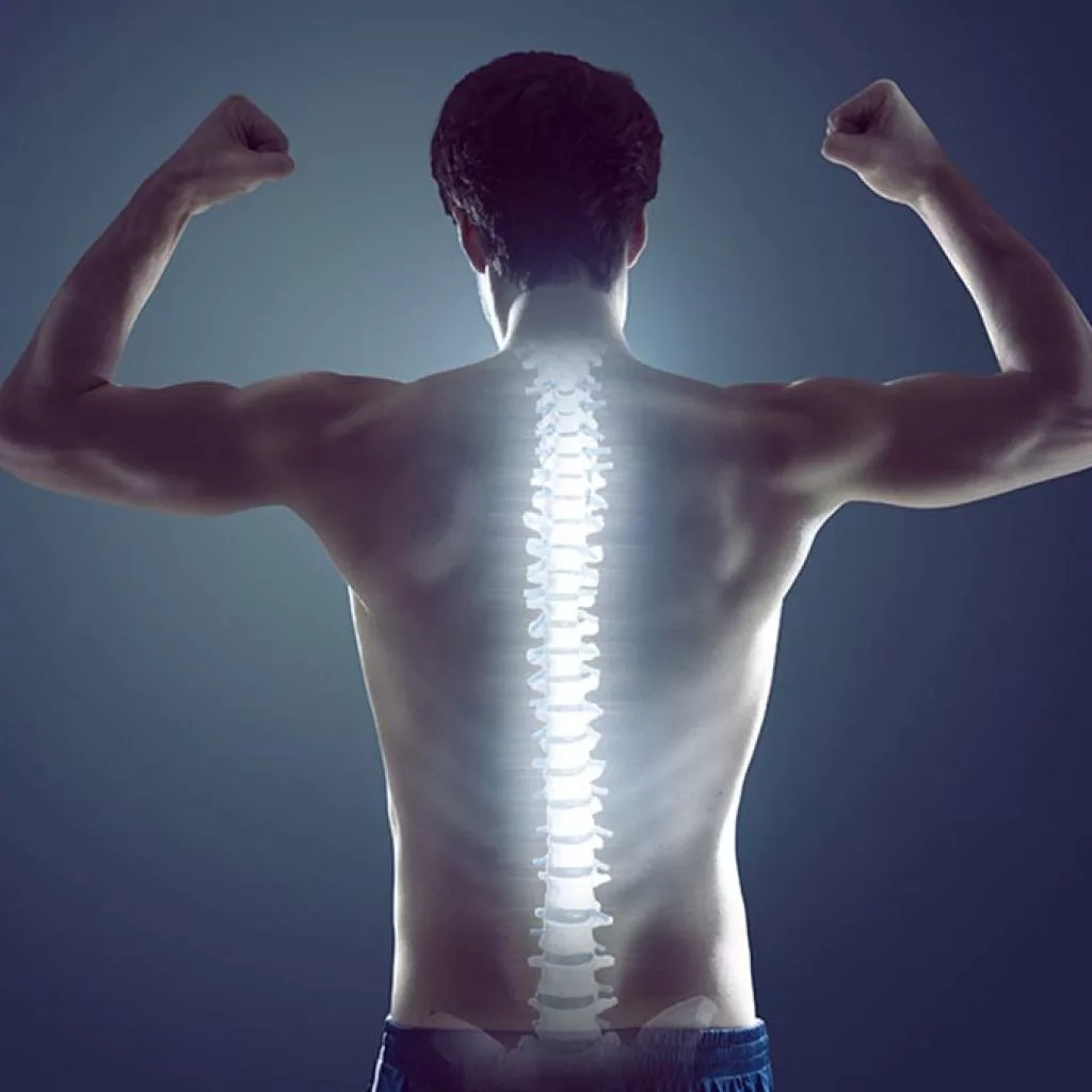 Rappresentazione della forza muscolare e salute della colonna vertebrale, concetto di postura, stabilità e benessere spinale