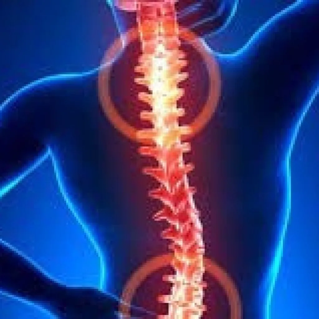 llustrazione della colonna vertebrale evidenziata con punti di dolore lombare e cervicale su sfondo blu.