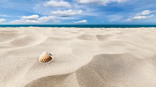 Spiaggia e mare con conchiglia in primo piano